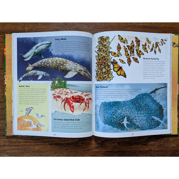 Incredible Animals Kids Book Hardbound Educational 8-12 Years Barefoot Books - Picture 8 of 11